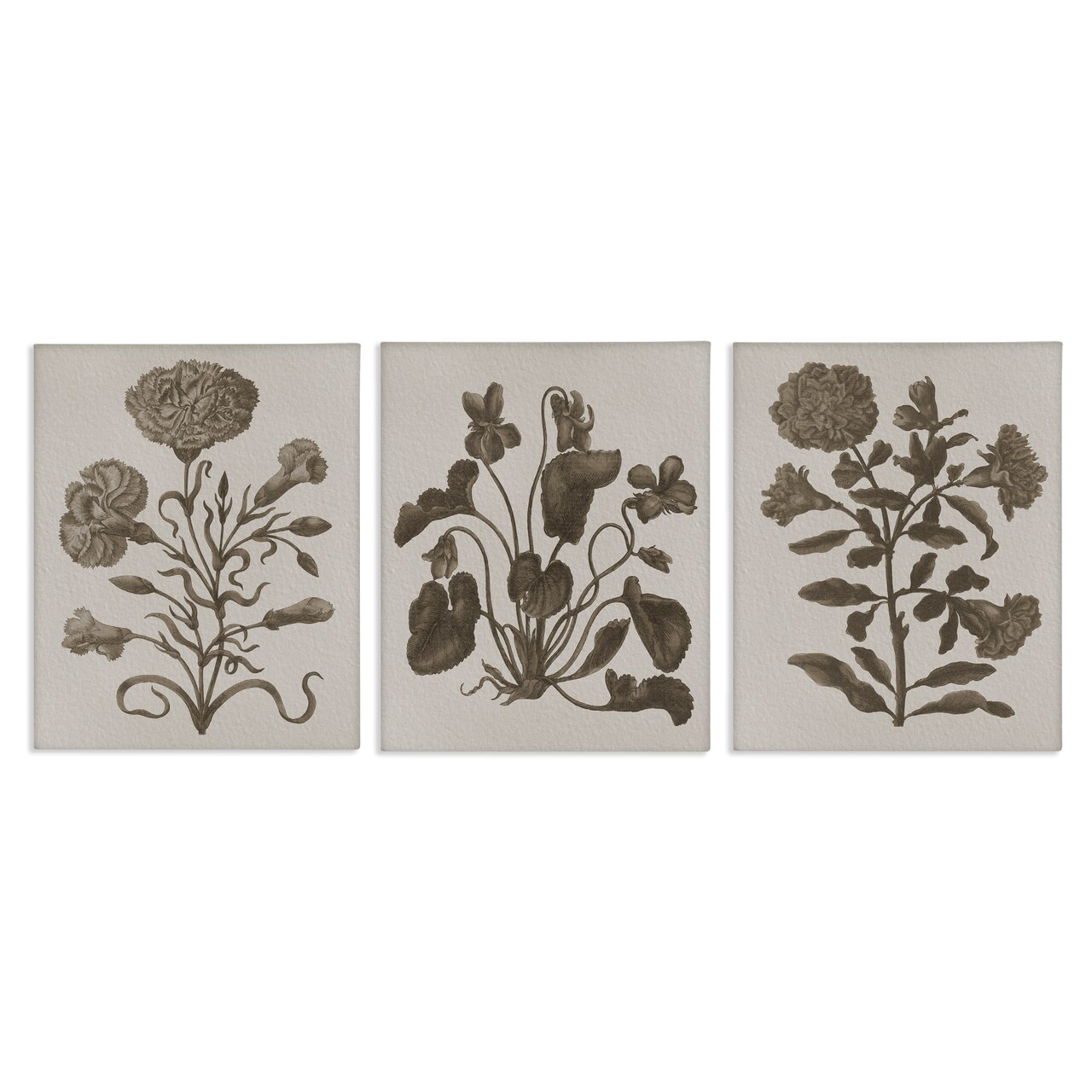 Stupell Industries Vintage Country Botanicals 3pc Canvas Wall Art Set Design by Lil' Rue